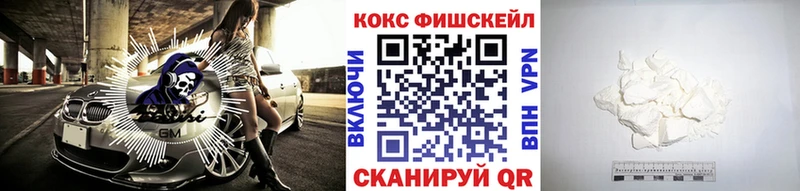 купить наркотики цена  Чайковский  COCAIN Fish Scale 
