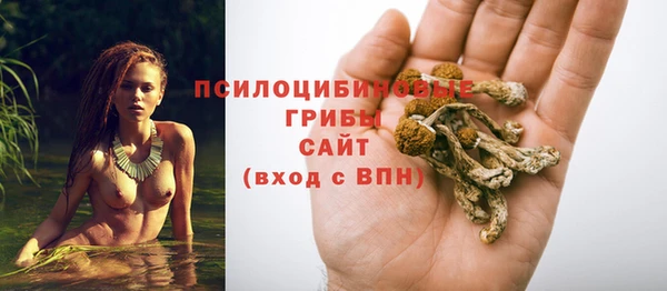 тгк Богородск