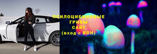 тгк Богородск