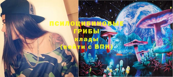 тгк Богородск