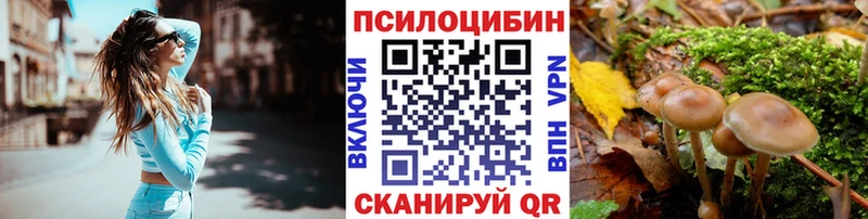 Галлюциногенные грибы MAGIC MUSHROOMS  цены   Чайковский 